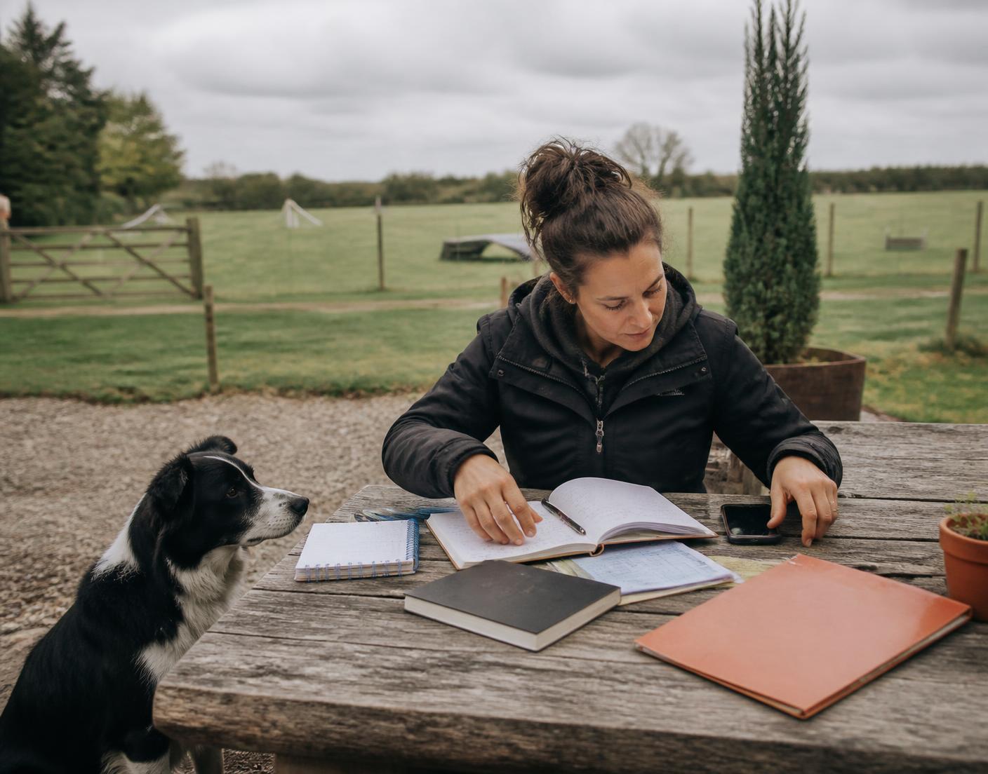 A dog trainer sorting notebooks, forms and phone records beside a Border Collie